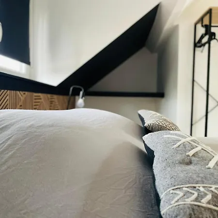 Un Cocon Spacieux Et Soigneusement Decore - 457 公寓 鲁昂